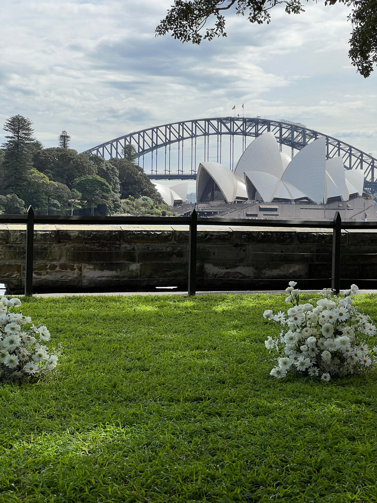 Meadow-style ground arrangements on the Harbour View Lawn with the Sydney Harbour Bridge behind